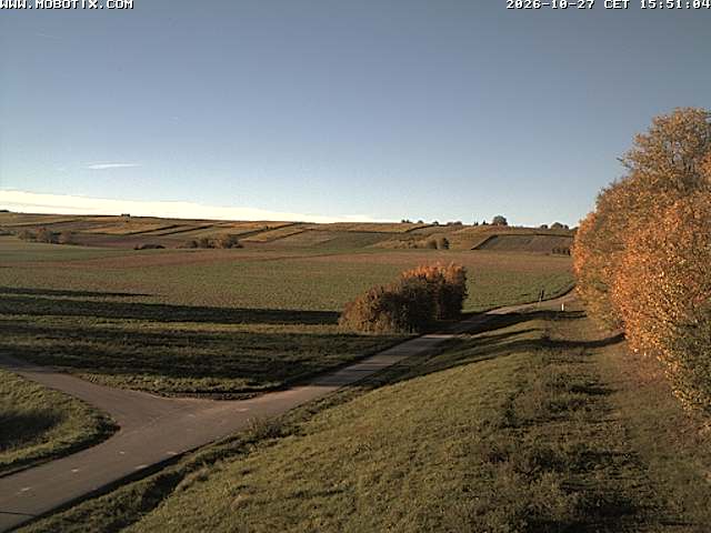 Camera Live Image