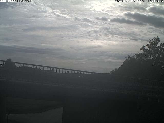 Camera Live Image